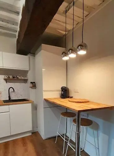 Le Cite D'or アパート ディジョン